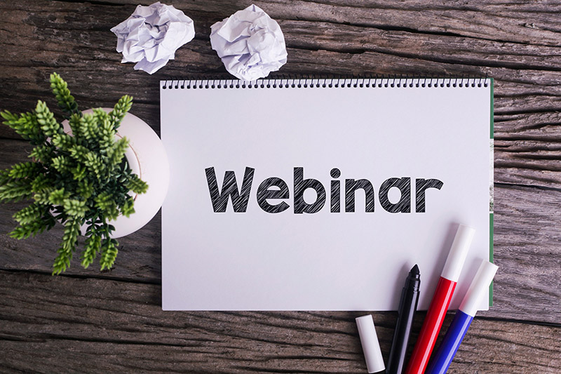 Blon-notes Webinar avec plante verte